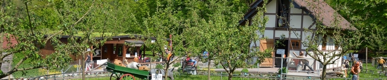 Aktuelles Freizeitpark Lochmhle
